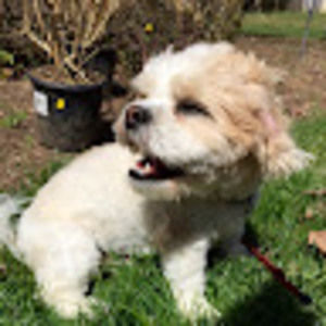 Meet your Posher, Miranda